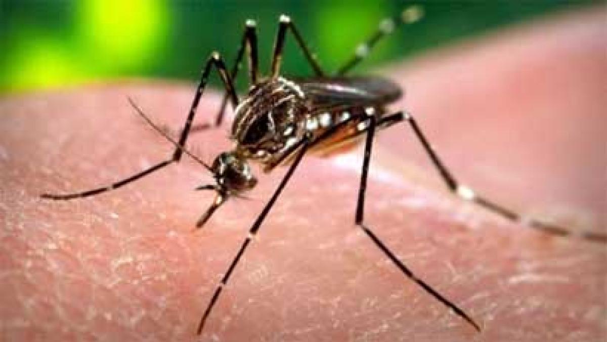 Cuba to deploy 9,000 troops to prevent Zika virus